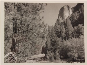 Image description is not available for 1996.082